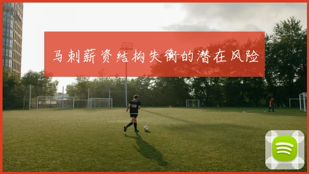 马刺薪资结构失衡的潜在风险