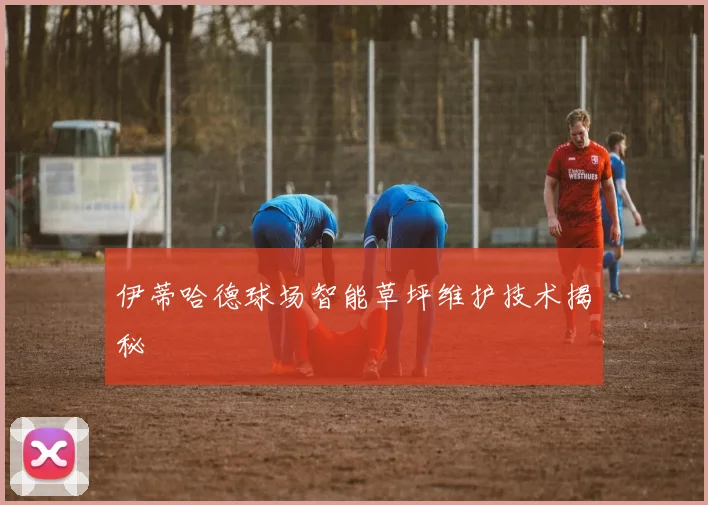 伊蒂哈德球场智能草坪维护技术揭秘