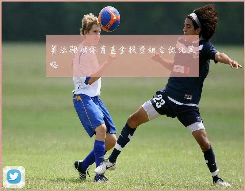 算法驱动体育基金投资组合优化策略
