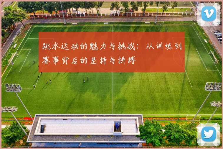 跳水运动的魅力与挑战：从训练到赛事背后的坚持与拼搏