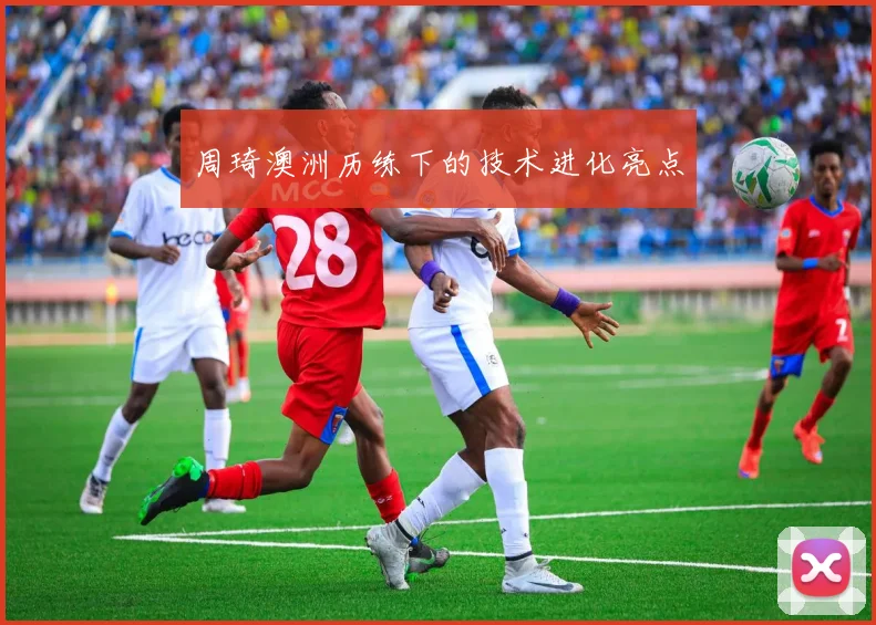 周琦澳洲历练下的技术进化亮点
