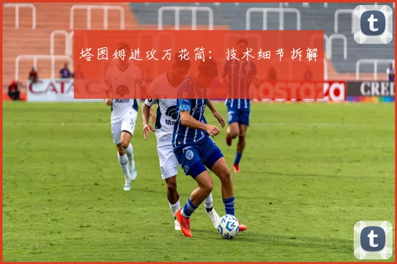 塔图姆进攻万花筒：技术细节拆解