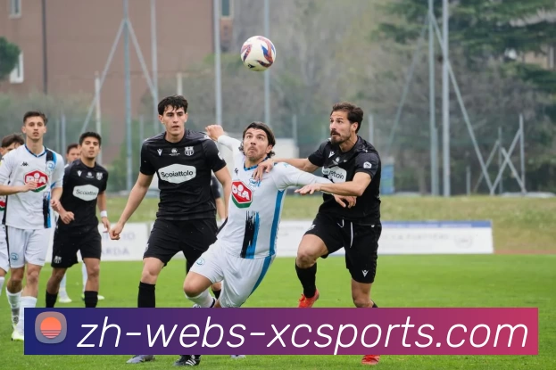 杏彩平台生态图